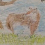 Wilk