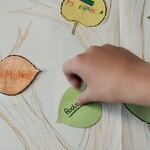 Uczeń przykleja listek z wartościami