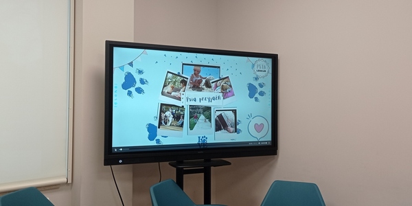 film na monitorze pomoc na 4 łapy