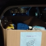 pudło z karmą i kocami